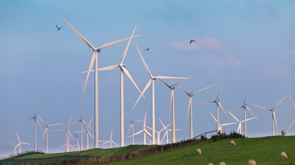 Wind Turbines and birds